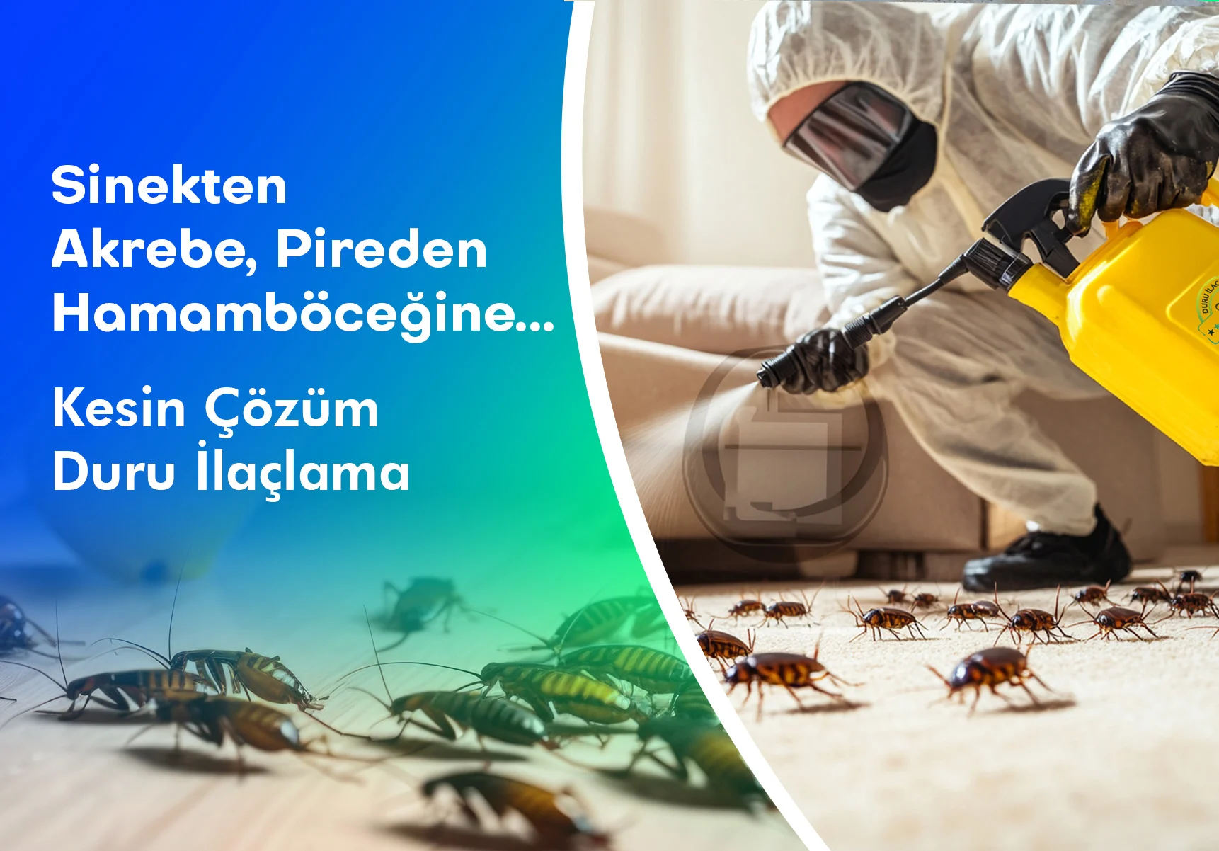 antalya duru ilaçlama msld4