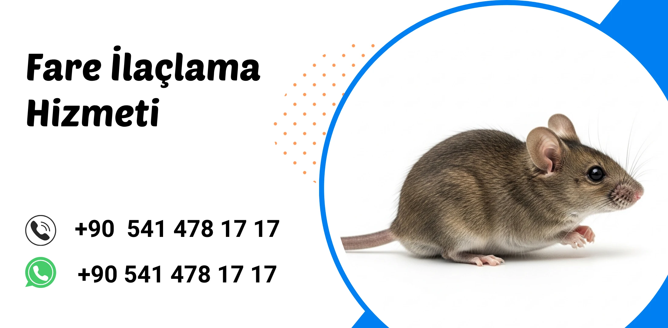 antalya fare ilaçlama firması
