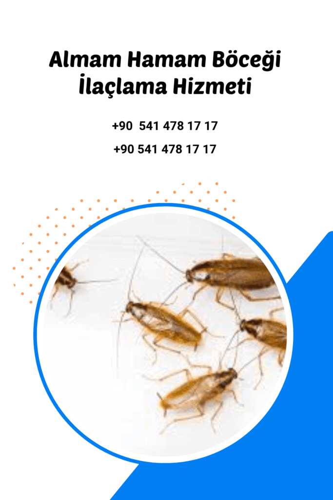 antalya alman hamam böceği ilaçlama