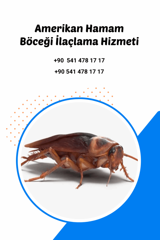antalya amerikan hamam böceği ilaçlama