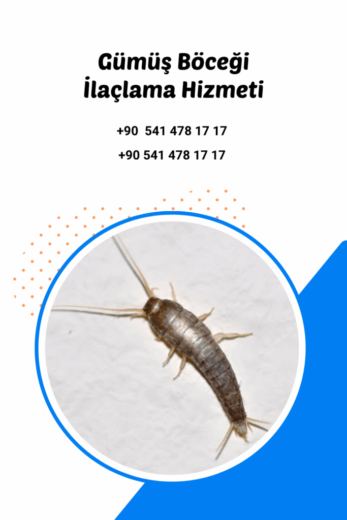 antalya gümüşçün ilaçlama