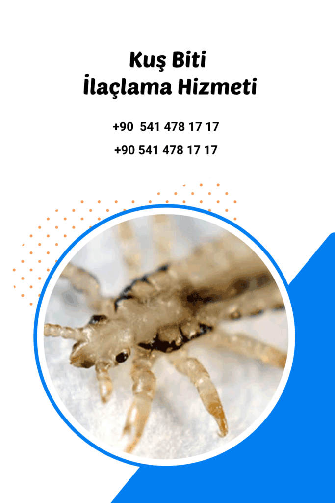 antalya kuş biti ilaçlama
