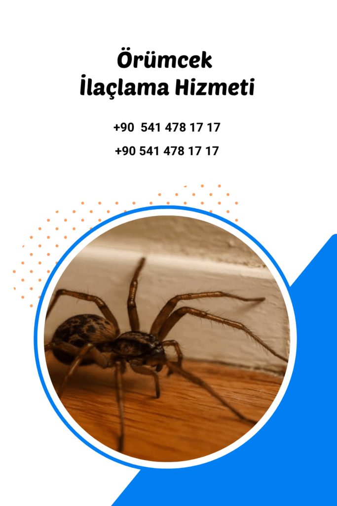 antalya örümcek ilaçlama