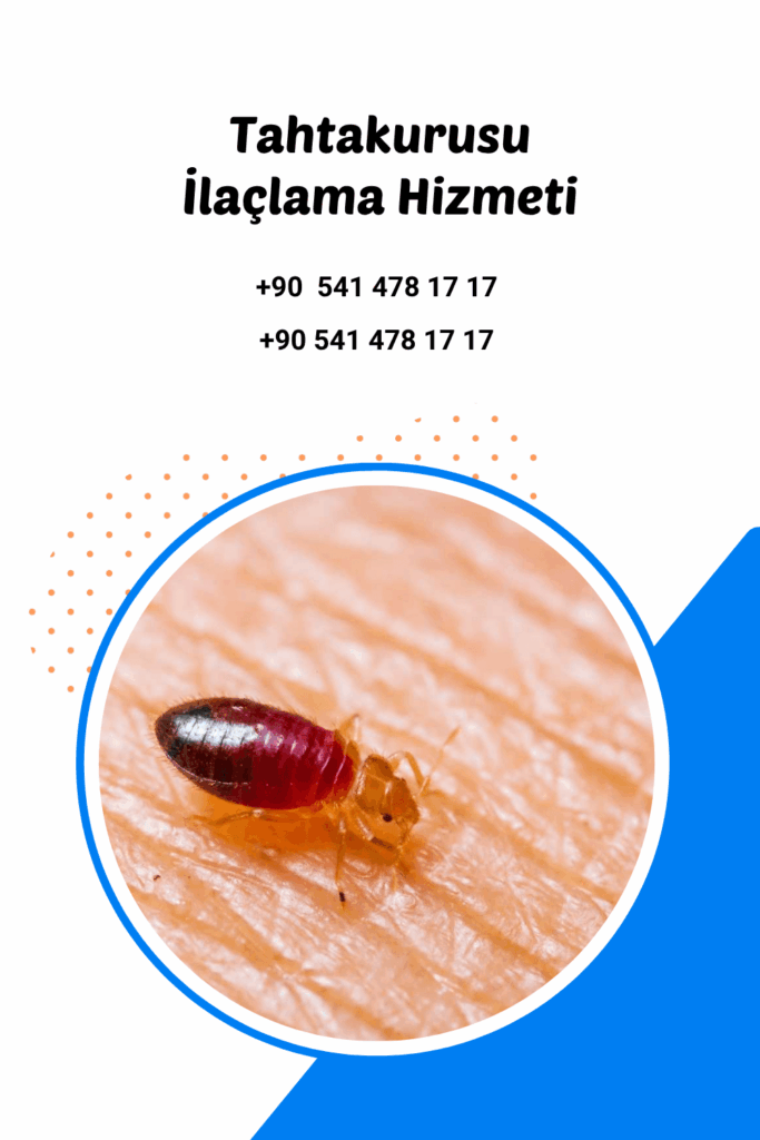antalya tahtakurusu ilaçlama