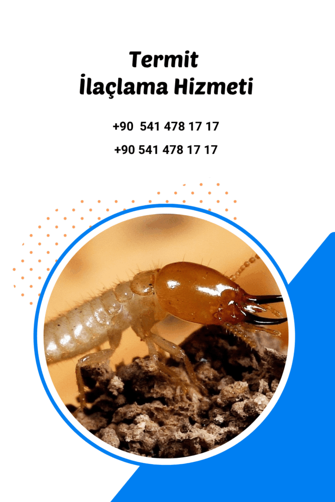 antalya termit ilaçlama