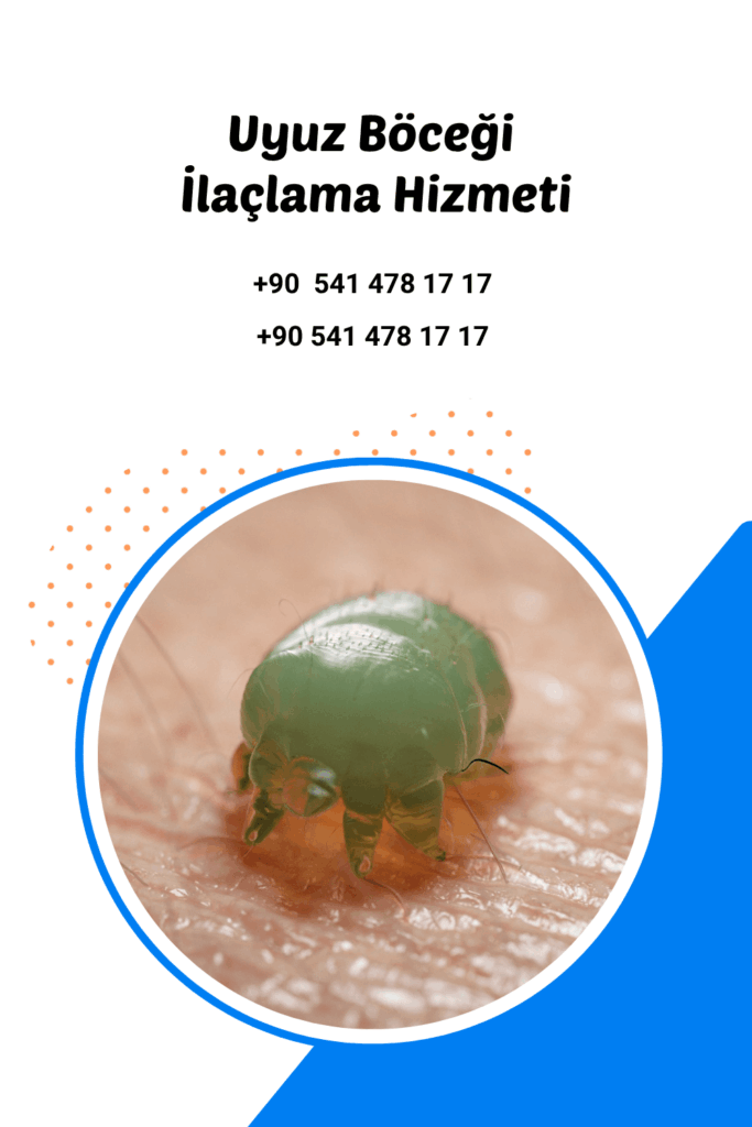 antalya uyuz ilaçlama
