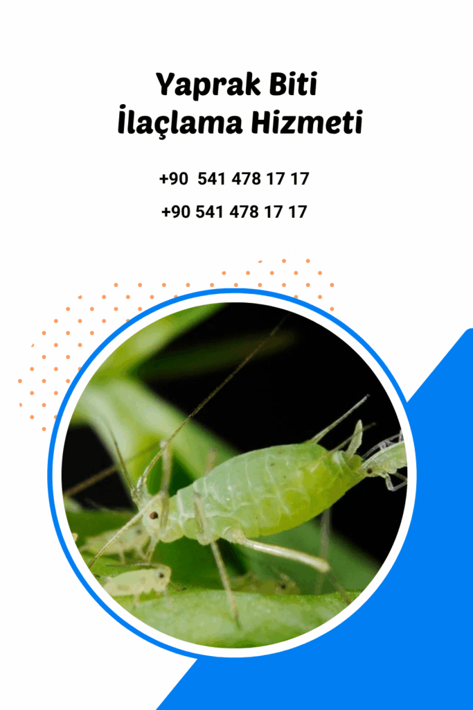 antalya yaprak biti ilaçlama