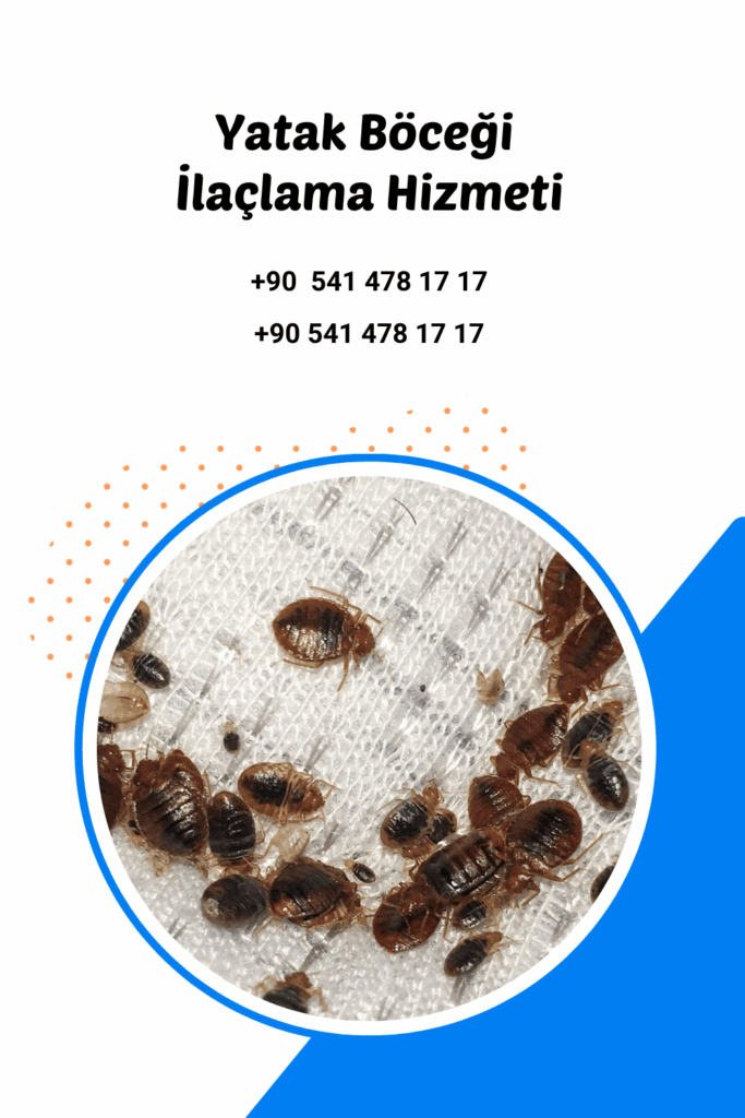 antalya yatak böceği ilaçlama